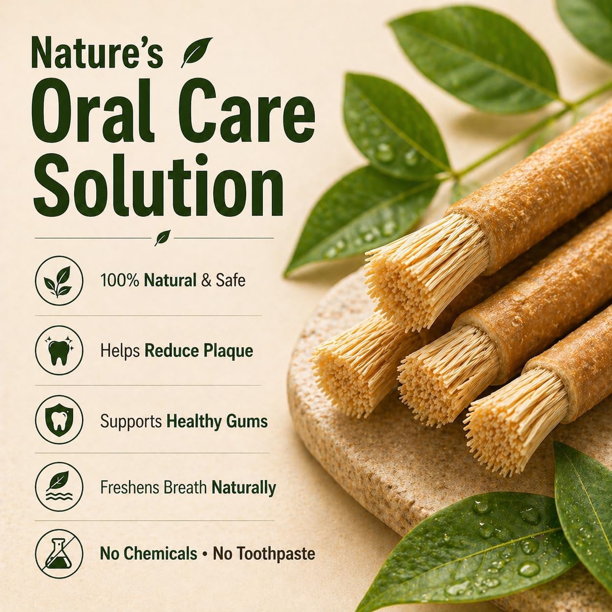 Natural Miswak Toothbrush Set with Olive Wood Handle (4-Pack)