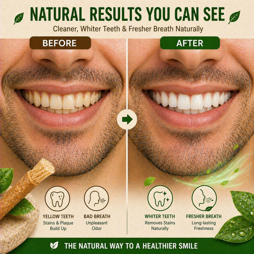 Natural Miswak Toothbrush Set with Olive Wood Handle (4-Pack)